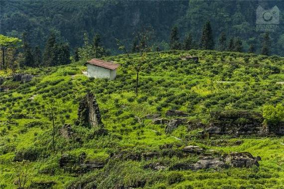 乡愁的唯美句子15句，晚风轻拂处，皆是乡愁