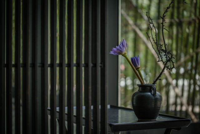 禅语感悟人生的句子10句，看完豁然开朗!