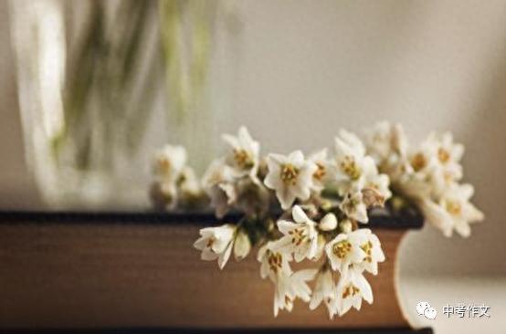 心灵作文800字初中习作（给心灵松绑）