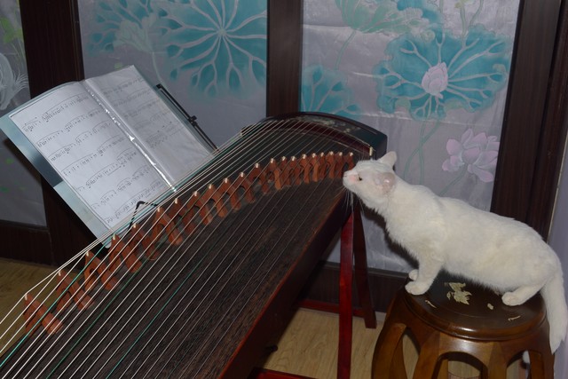 说说心里话作文800字（初中优秀范文）