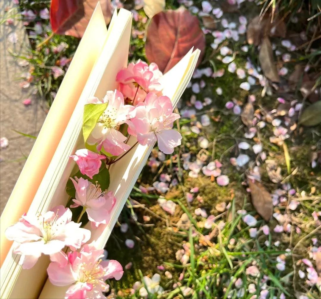 生活美好的句子20句，生活处处皆美好