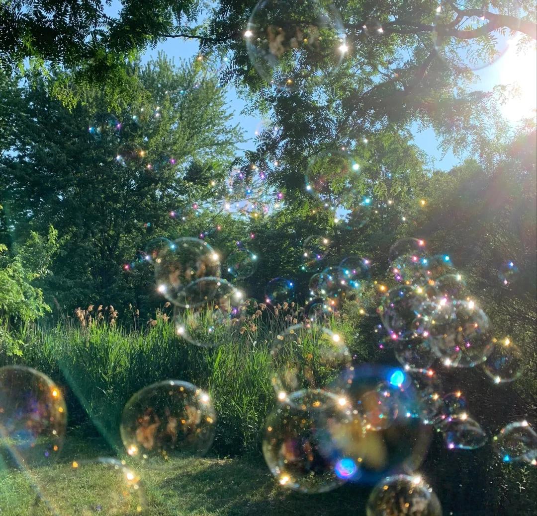 生活美好的句子20句，生活处处皆美好