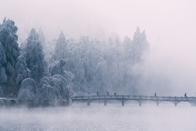 冬天的诗句20句，每一句都好美!