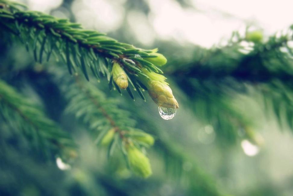 感谢朋友的句子简短20句，感谢的话语简短精辟