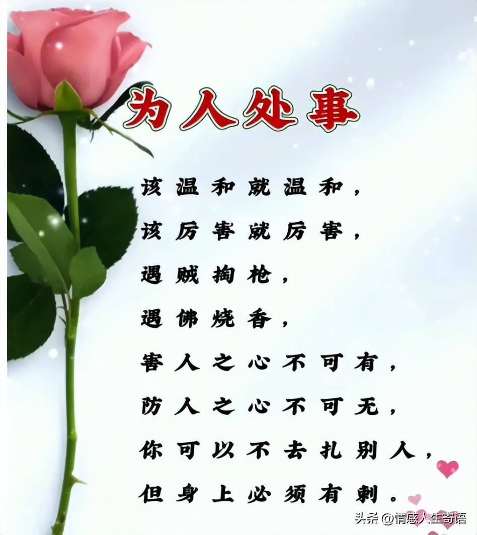 学会做人的句子13句，愿你翻过山丘，仍有繁花似锦!