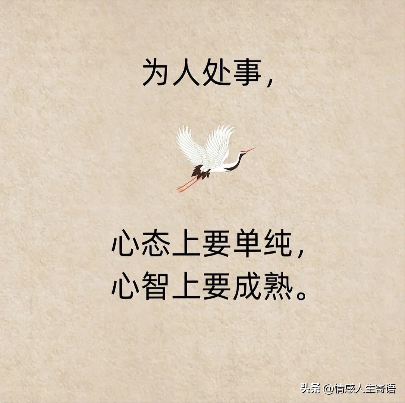 学会做人的句子13句，愿你翻过山丘，仍有繁花似锦!