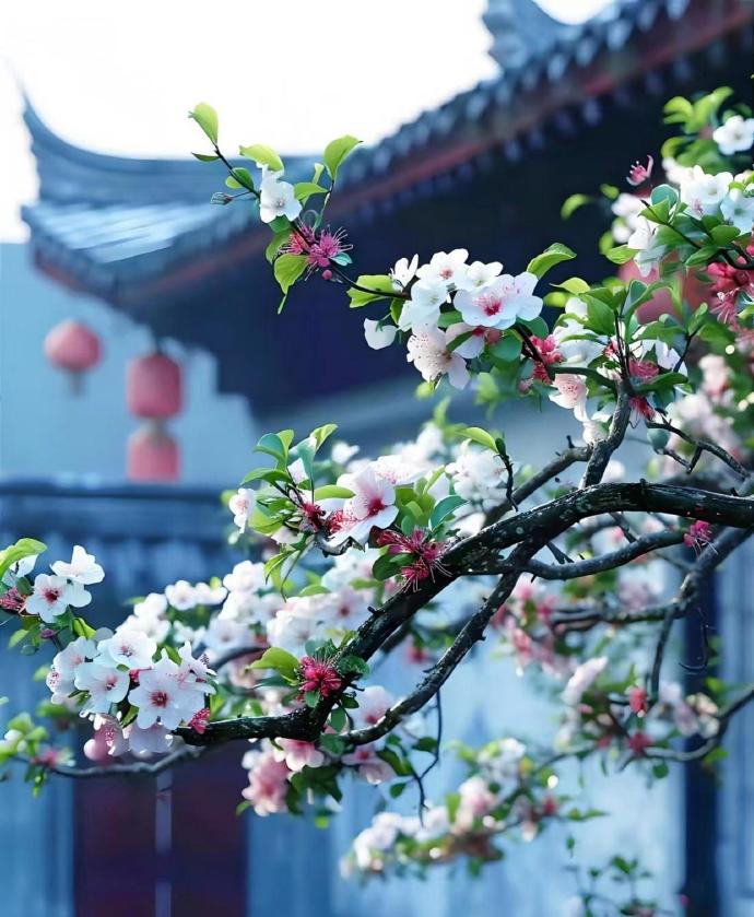 春天的诗句唯美10首，惊艳了整个春天