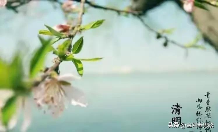 清明节追思亲人的句子30句，句句都是思念!