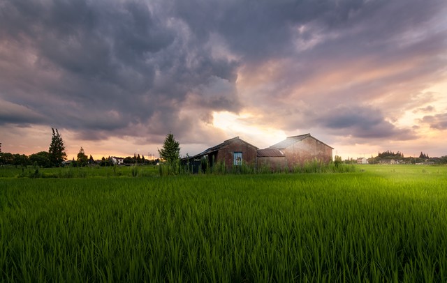 田园风光唯美的句子20句，美到令人心醉