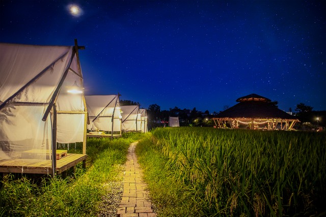 田园风光唯美的句子20句，美到令人心醉