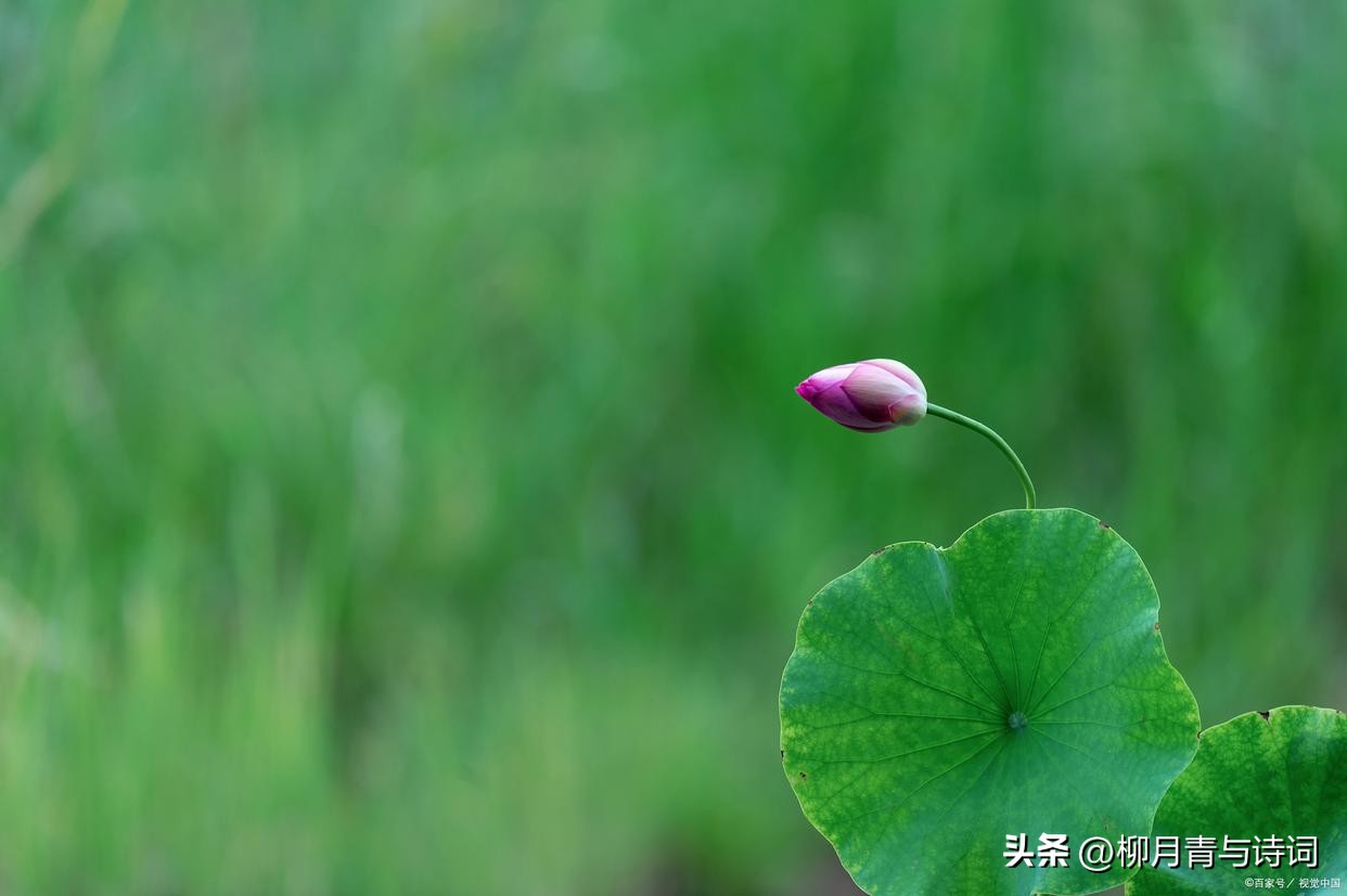 十句穿透人心的句子10句，说透人生真相