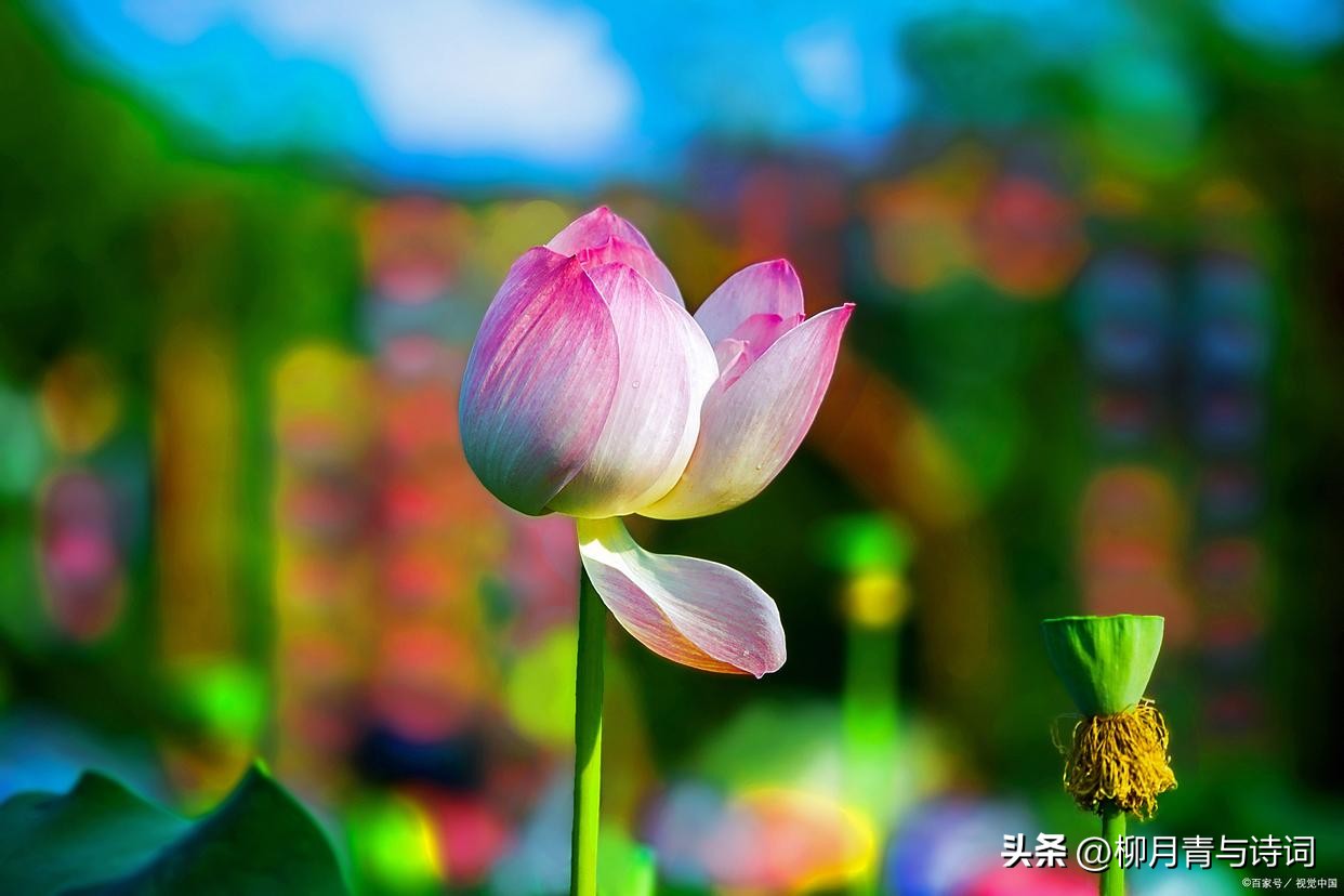 十句穿透人心的句子10句，说透人生真相