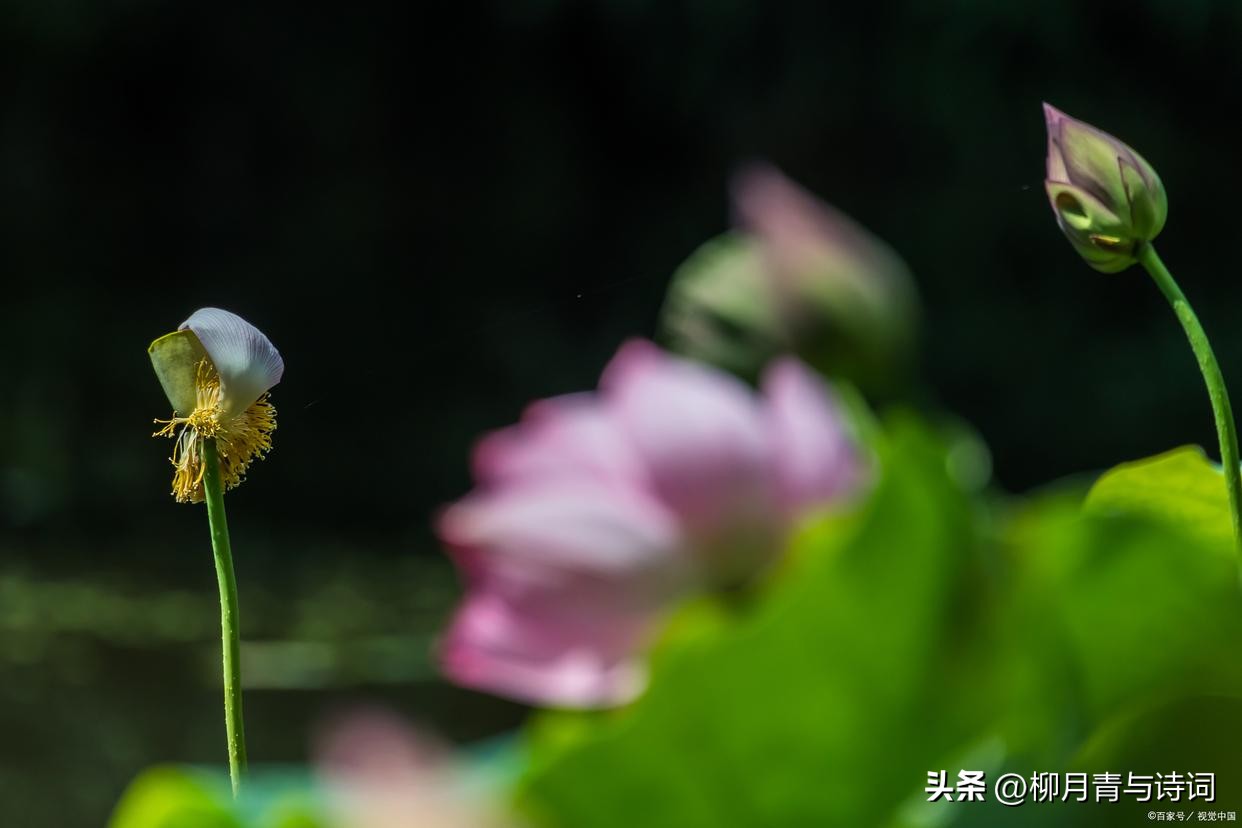 十句穿透人心的句子10句，说透人生真相