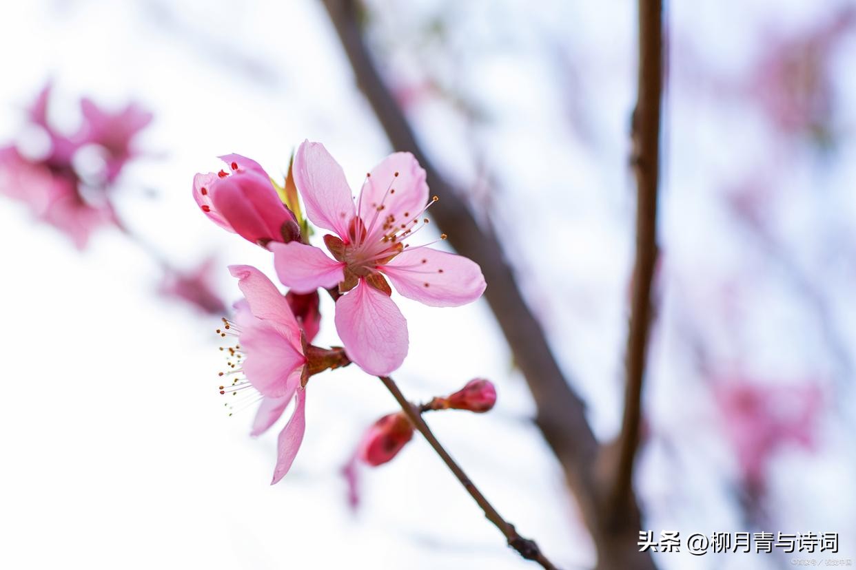 十句穿透人心的句子10句，说透人生真相