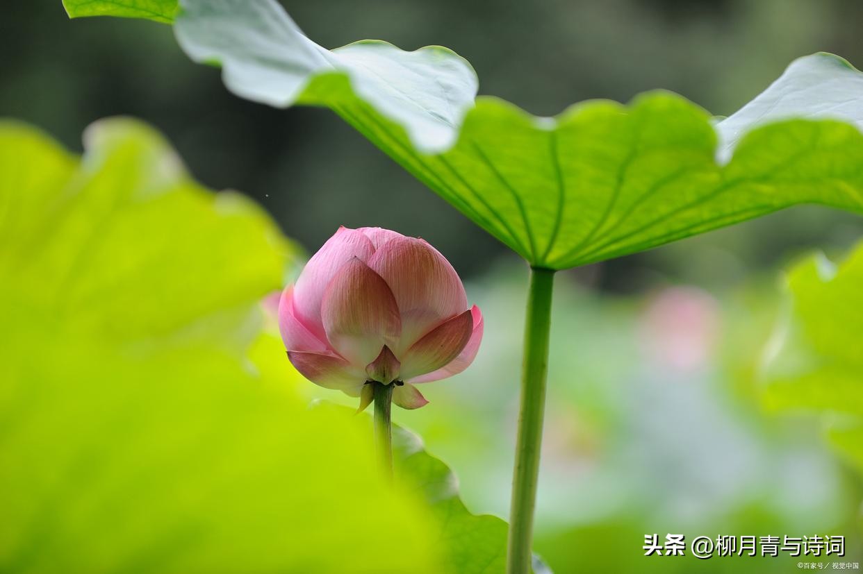 十句穿透人心的句子10句，说透人生真相