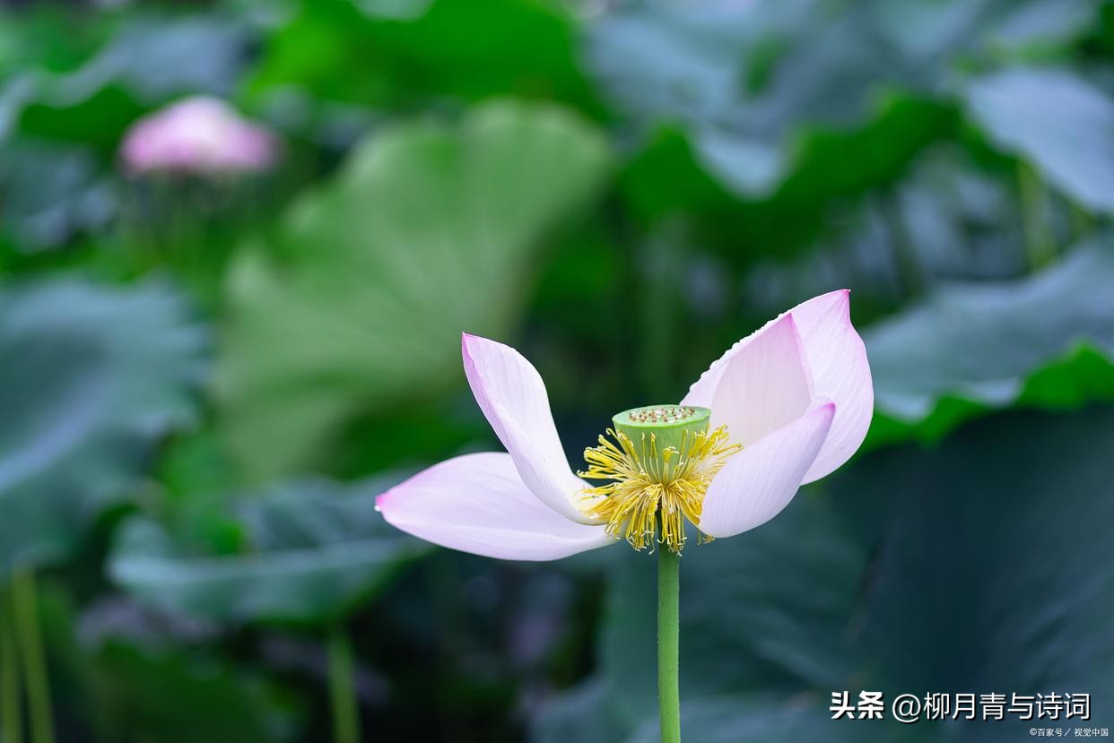 十句穿透人心的句子10句，说透人生真相