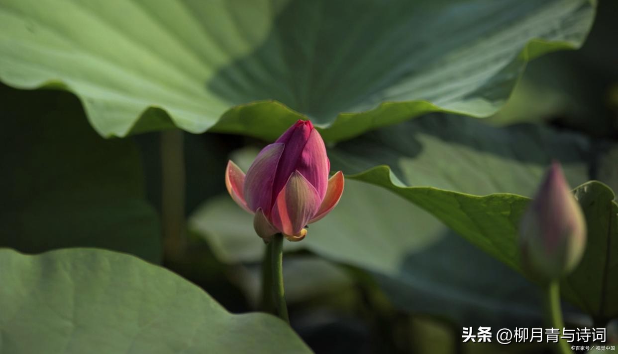 十句穿透人心的句子10句，说透人生真相