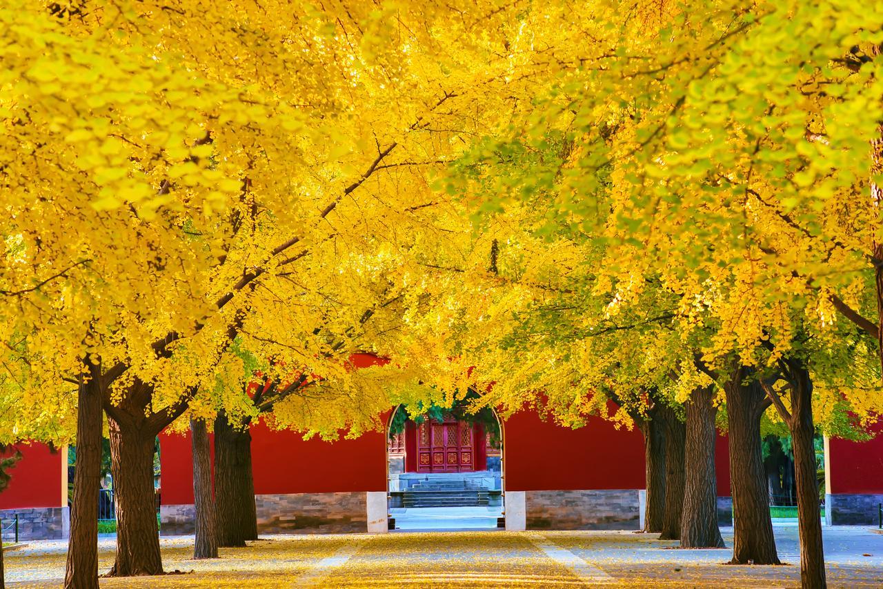 描写立秋的诗句7首（原文及赏析）