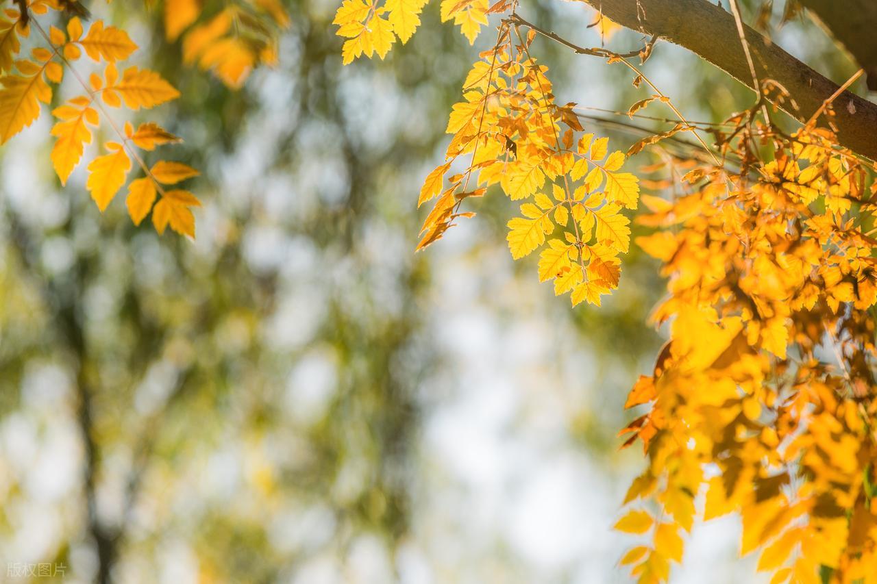 描写立秋的诗句7首（原文及赏析）