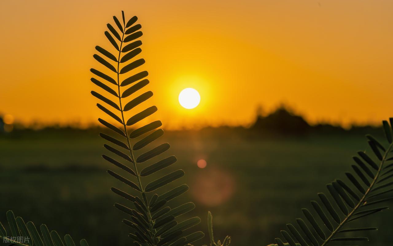 描写立秋的诗句7首（原文及赏析）