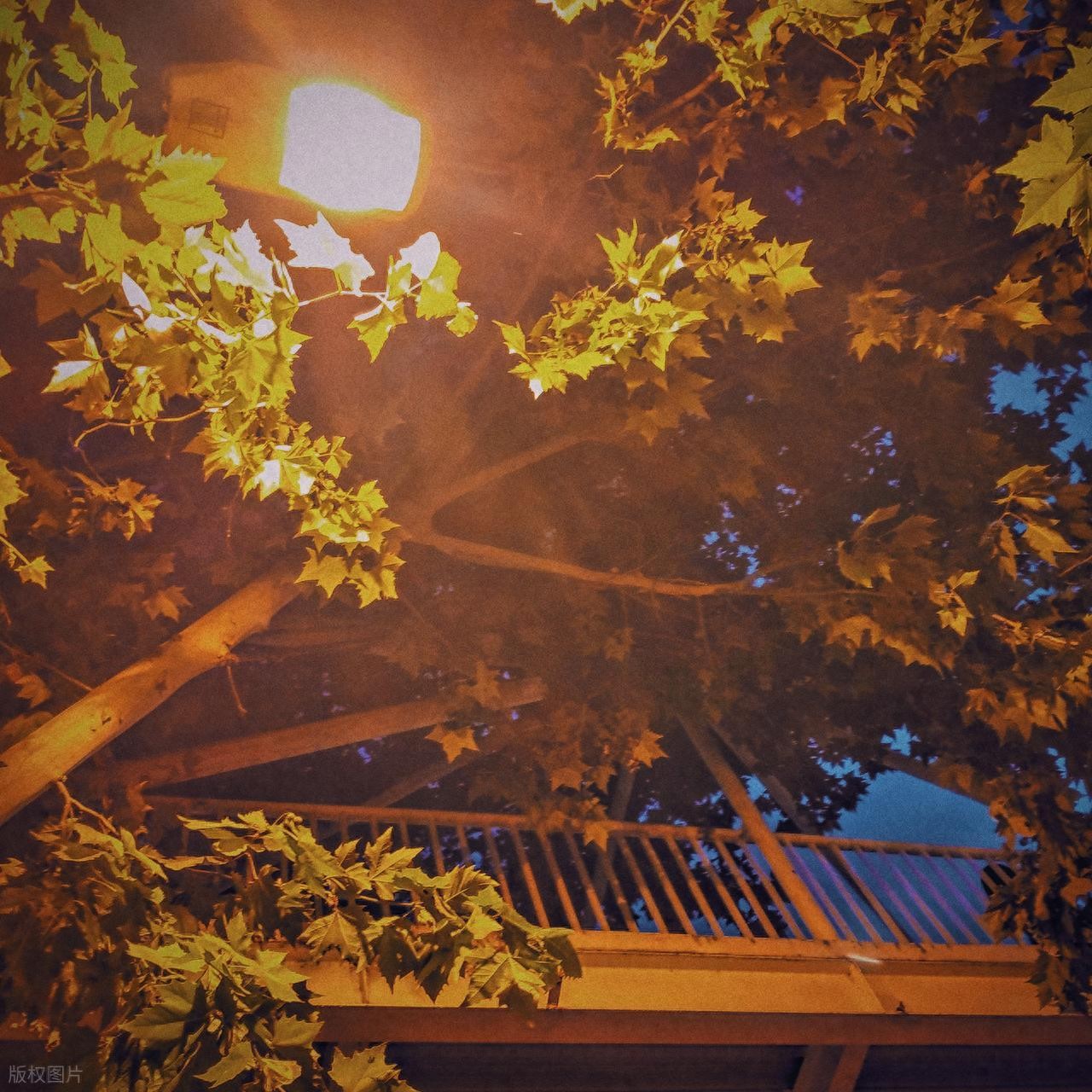 描写立秋的诗句7首（原文及赏析）