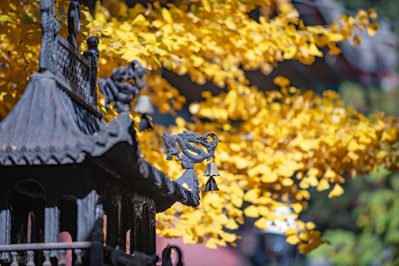 描写立秋的诗句7首（原文及赏析）