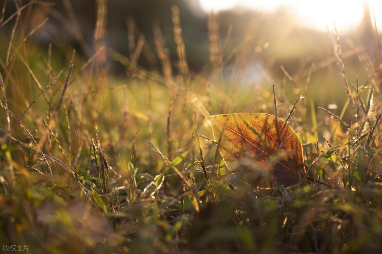 描写立秋的诗句7首（原文及赏析）