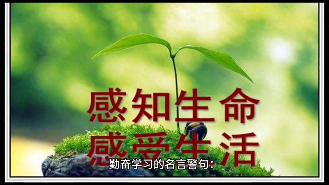勤奋学习的名言警句10句，愿你不负时光，不负青春!