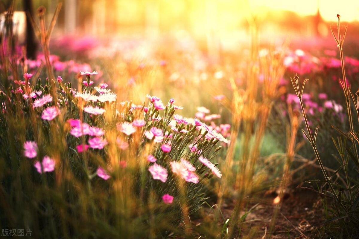 关于温暖的唯美句子24句，唯美走心,直抵心灵!