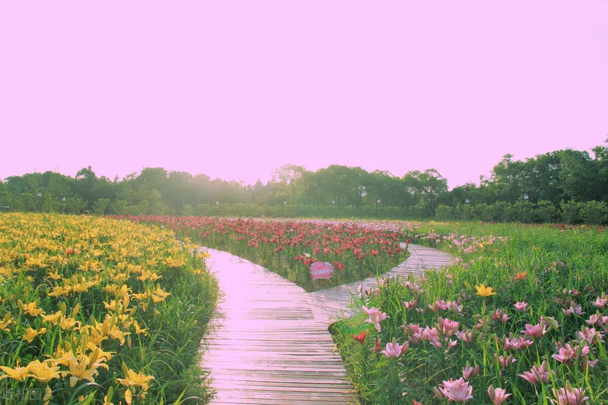 关于温暖的唯美句子24句，唯美走心,直抵心灵!