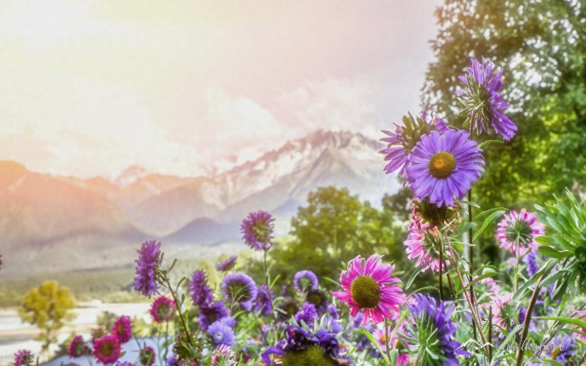 关于温暖的唯美句子24句，唯美走心,直抵心灵!