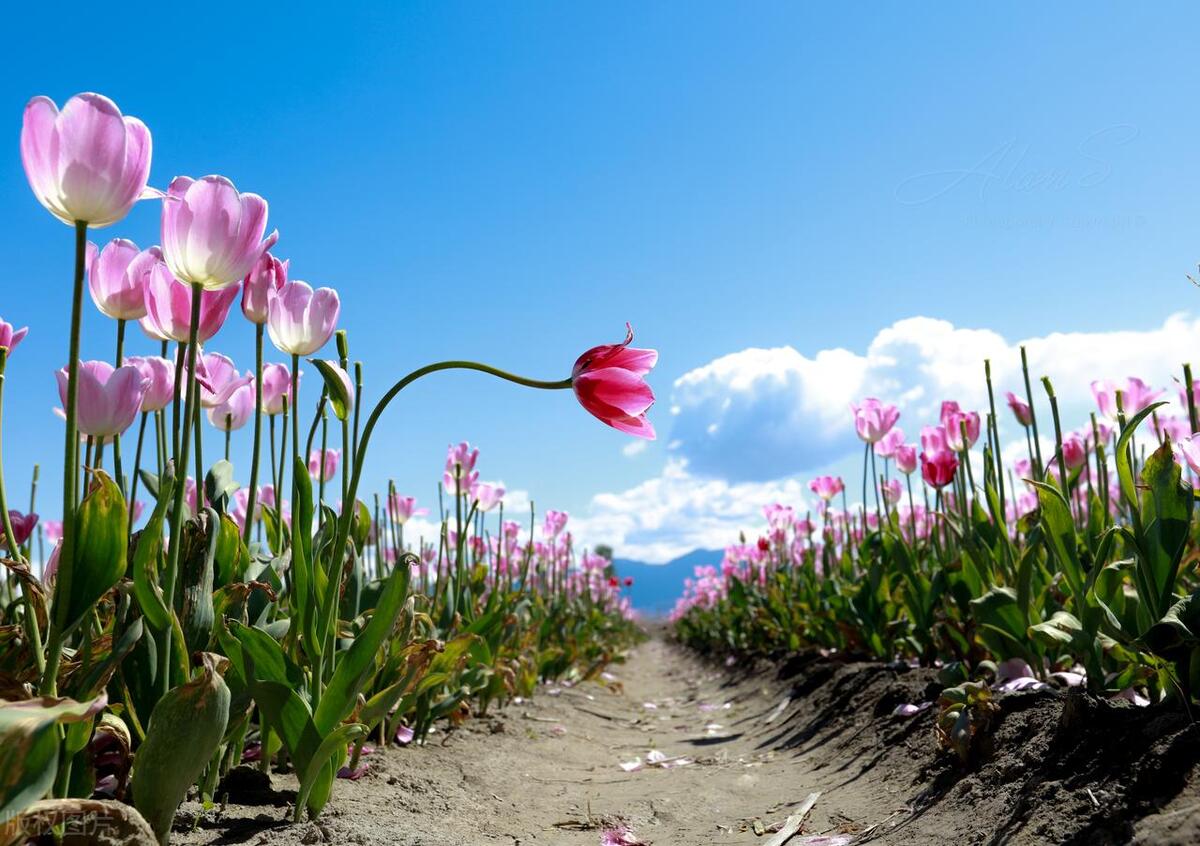 关于温暖的唯美句子24句，唯美走心,直抵心灵!