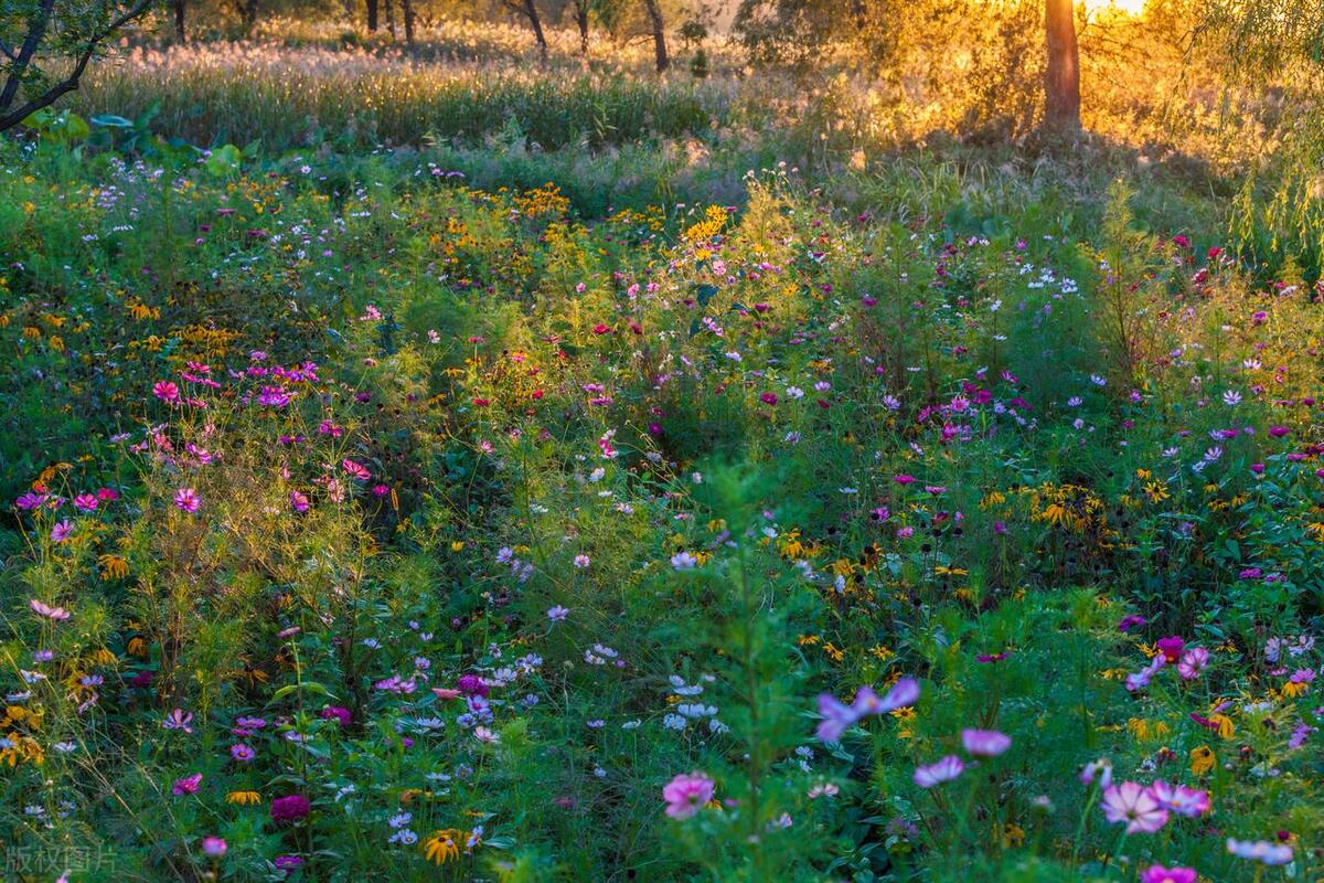 关于温暖的唯美句子24句，唯美走心,直抵心灵!