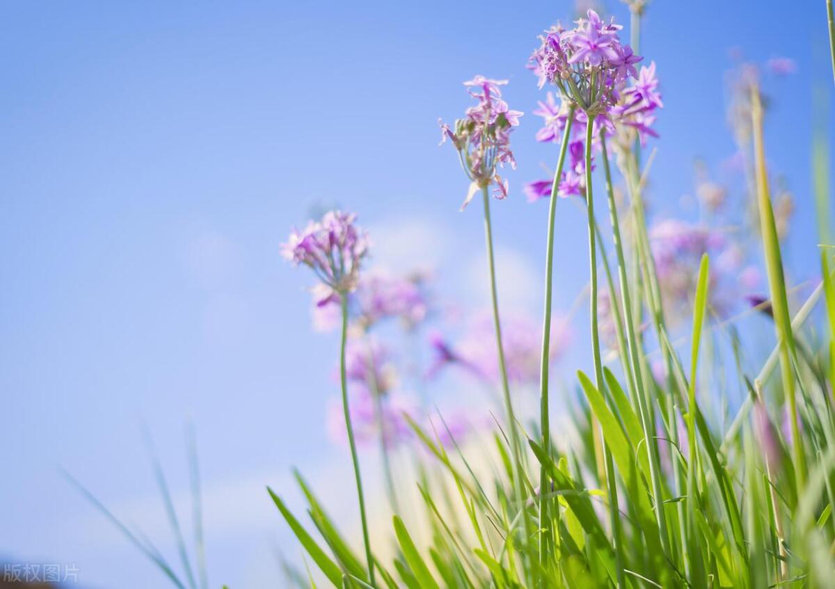 关于温暖的唯美句子24句，唯美走心,直抵心灵!