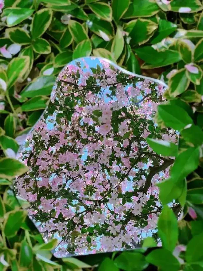 鼓励自己的话简短霸气25句，振奋人心!