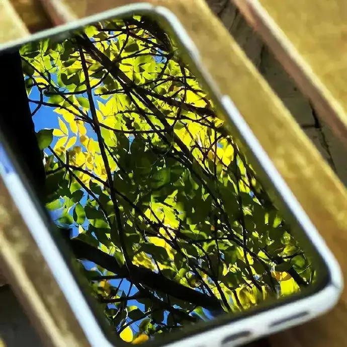 鼓励自己的话简短霸气25句，振奋人心!