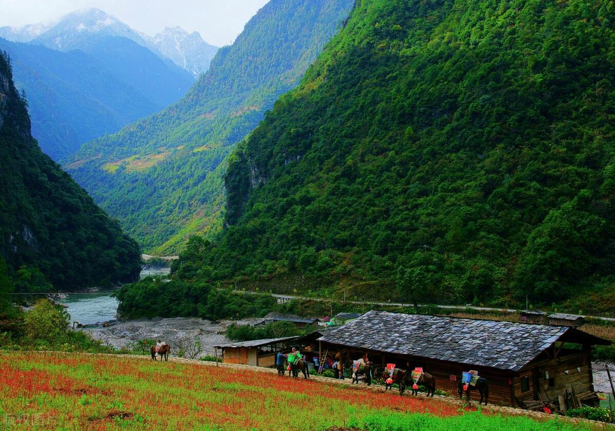 田园风光的诗句10首，炊烟袅袅，美到心醉