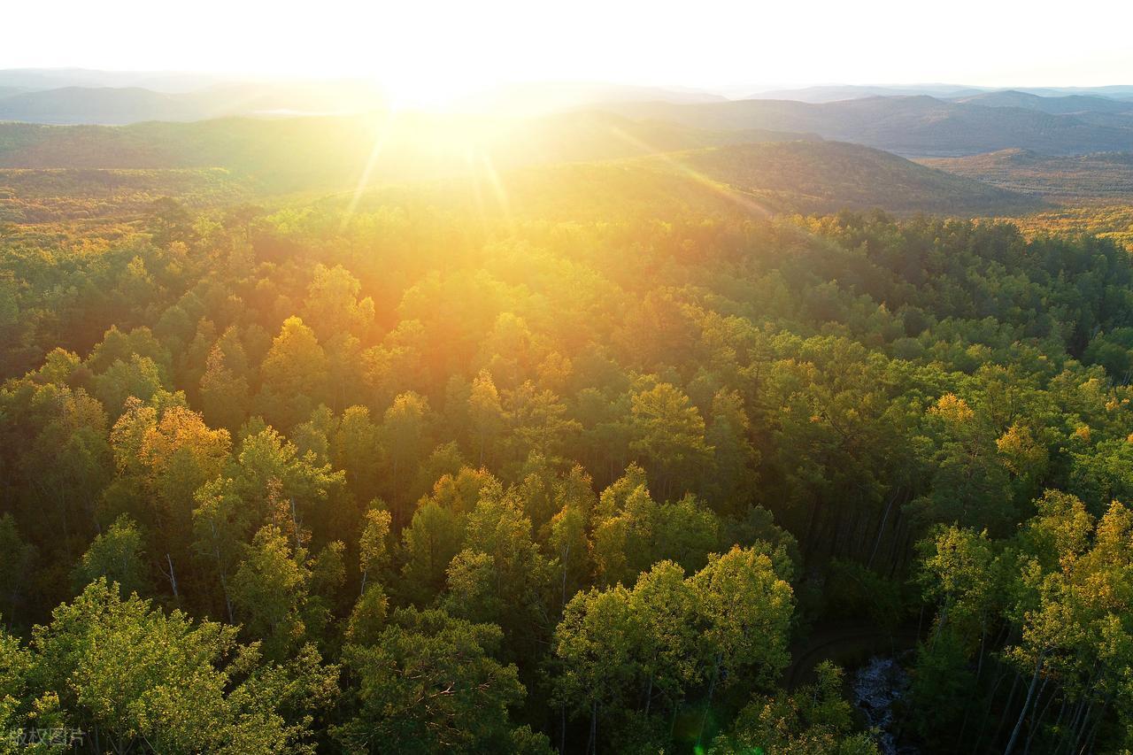 表白情话最暖心20句，一句就够，直抵人心