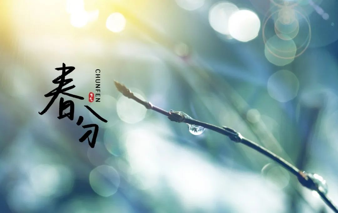 描写春分的诗句58首，正是人间好时节