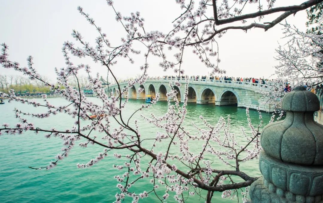 描写春分的诗句58首，正是人间好时节