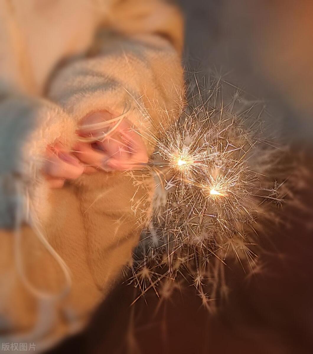 开心快乐的句子唯美21句，拥有一天好心情