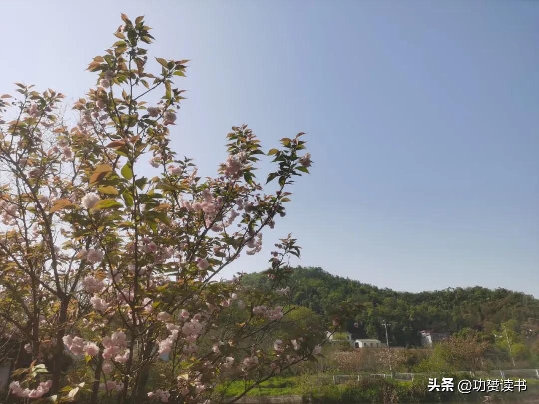 有关描写春天的古诗10首，最美人间四月天