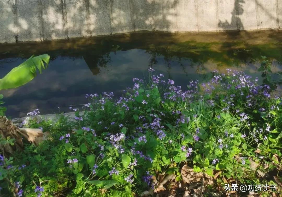 有关描写春天的古诗10首，最美人间四月天