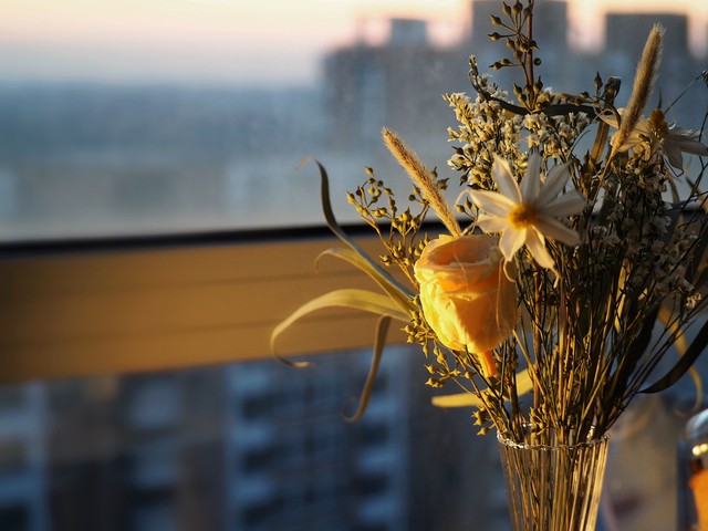 关于女人美的名言名句20句，一眼万年，字字生香