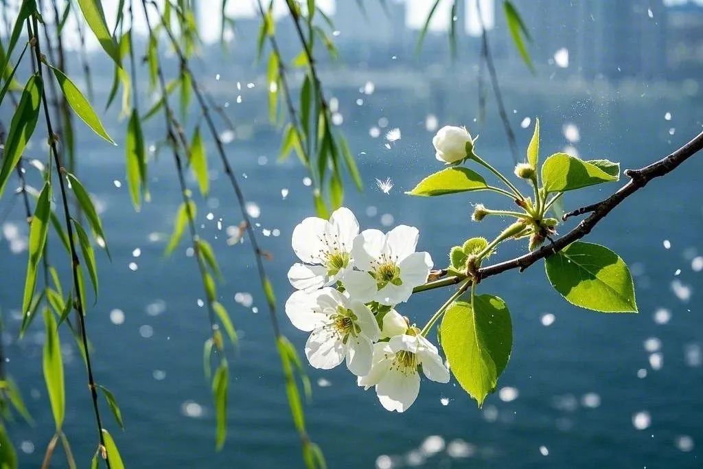 苏轼的古诗10首，让人相见恨晚，忍不住点赞