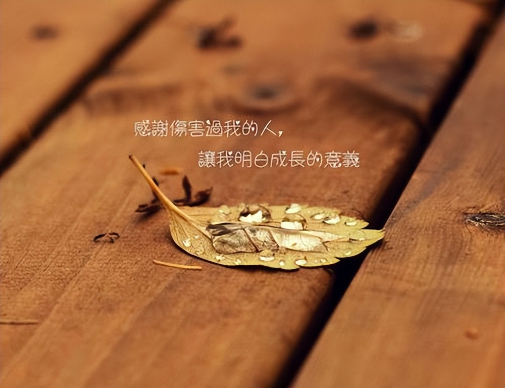 童年的回忆的句子21句，童年的足迹，快乐无限