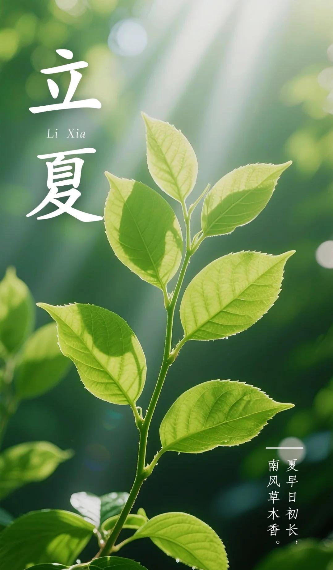 立夏的诗句7句，夏初长，美好在路上