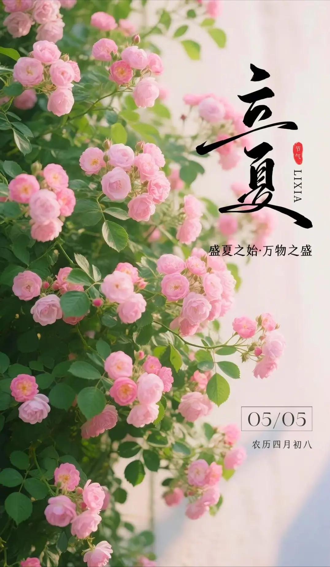 立夏的诗句7句，夏初长，美好在路上