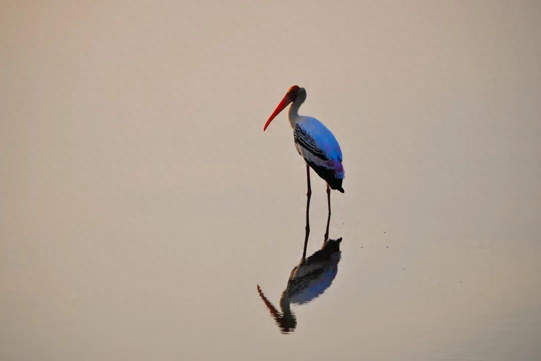 尼采的名言50句，清醒又通透，直击灵魂