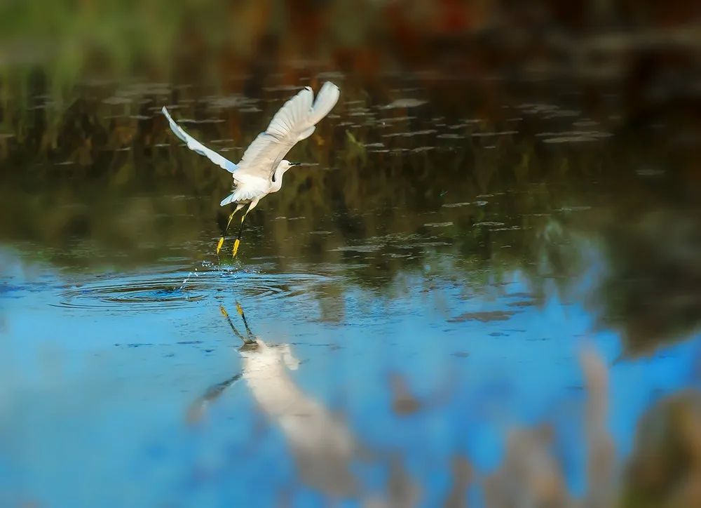 尼采的名言50句，清醒又通透，直击灵魂